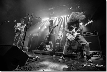 Dot Legacy, by Anca Coleașă 2016