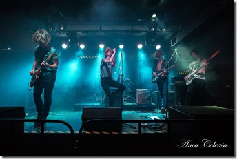 Gustave Tiger, by Anca Coleașă