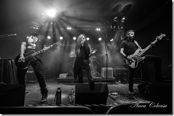 Gray Matters, by Anca Coleașă