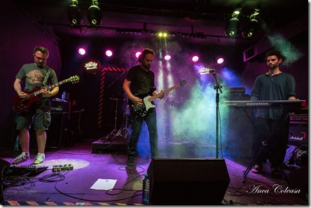 Deley, by Adrian Coleașă 2017