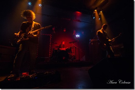 Mental Architects, by Adrian Coleașă 2017