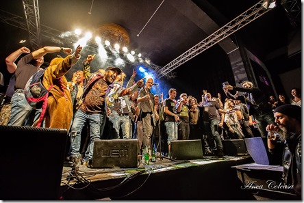 ZOB, by Anca Coleașă 2018 ZOB, by Anca Coleașă 2018