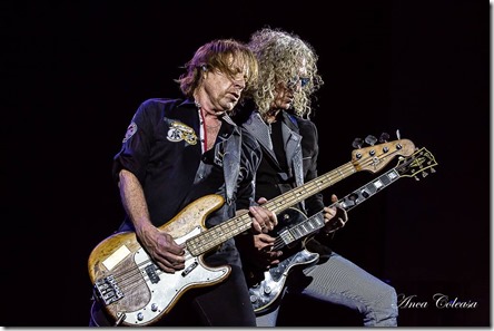 Foreigner - by Anca Coleașă, 2018