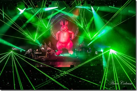 The Australian Pink Floyd Show - by Anca Coleașă, 2018