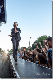 Nick Cave - by Anca Coleașă, 2018
