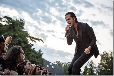 Nick Cave - by Anca Coleașă, 2018