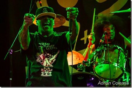 (hed) p.e. @Quantic 2019, by Adrian Coleașă