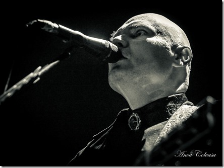 66290671_840312359685059_8719660763460927488_o