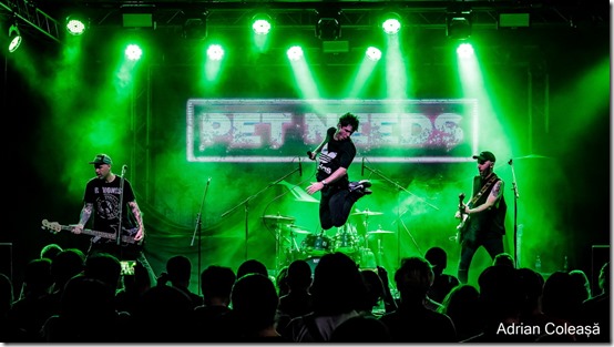 Pet Needs @Quantic 2023, by Adrian Coleașă